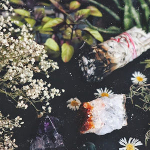 Meet your Posher, Marissa